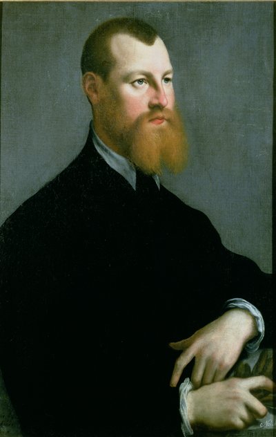 Portret van een man met een rossige baard, 16e eeuw door Jan Stephen van Calcar